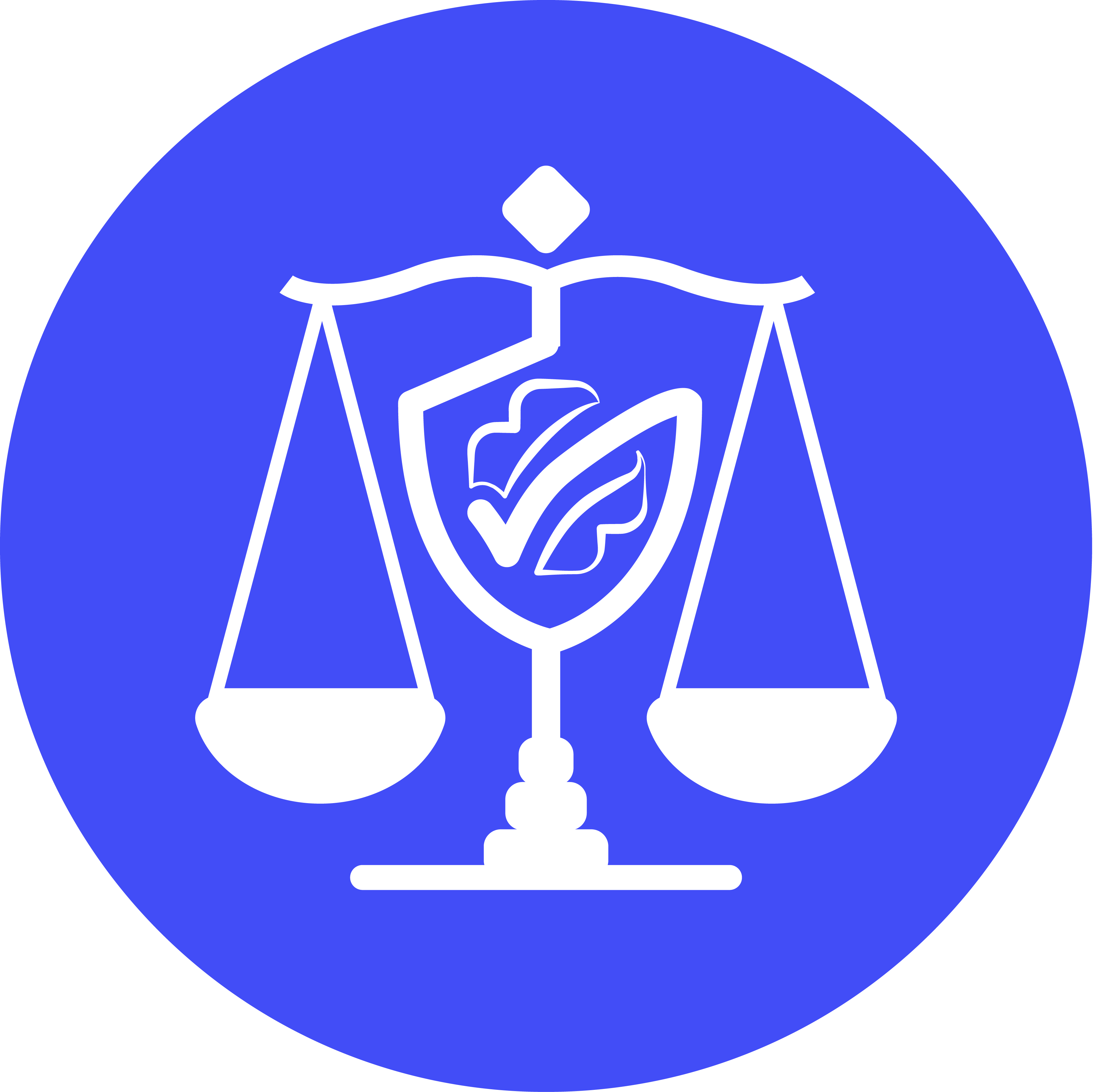 icon-legal